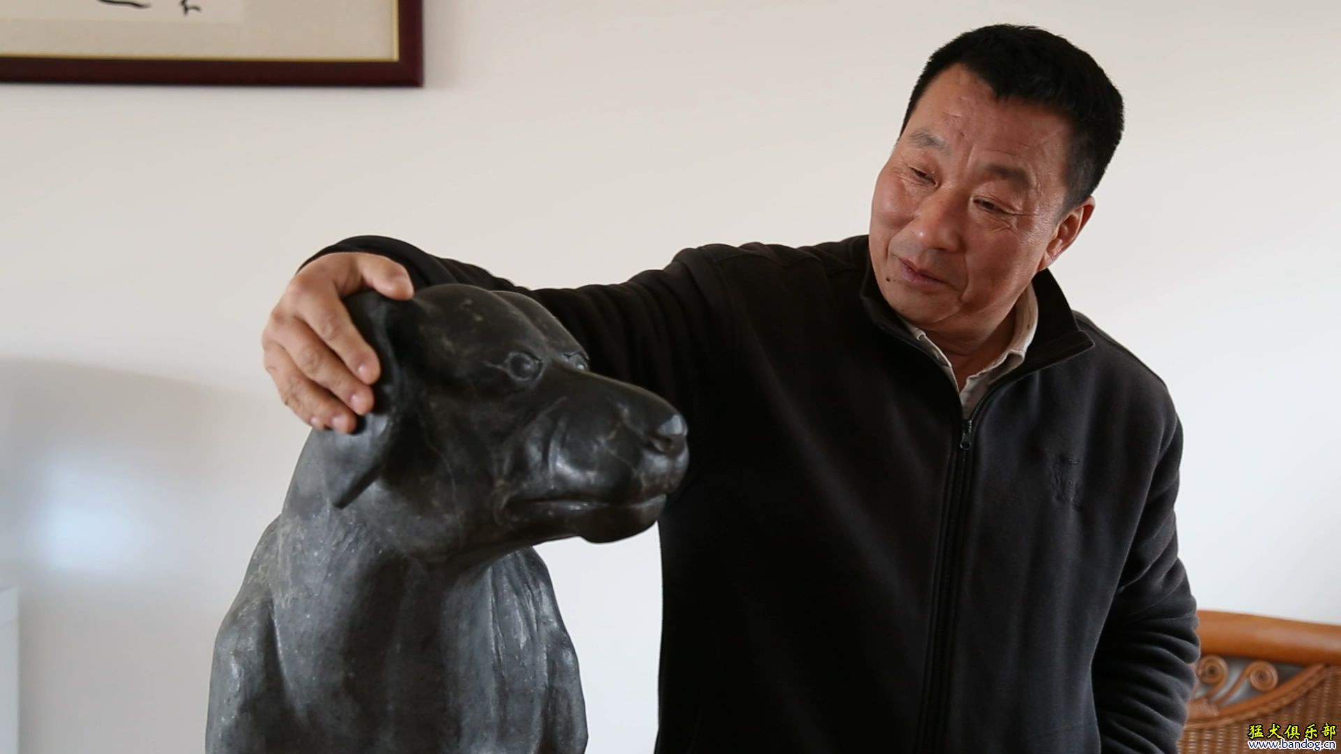 《比特犬在中国》之三 比特犬 繁殖与实战一体的传奇大师- 鲁山王伯彤