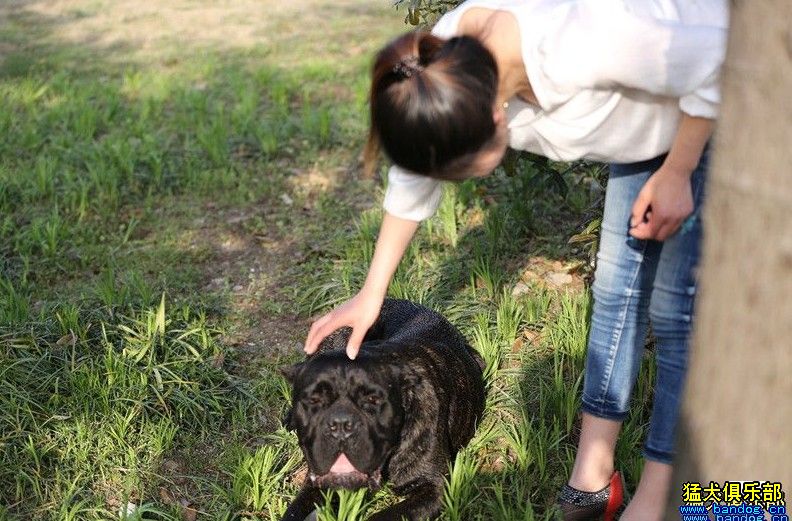 我与卡版同行,秀一下戴廉成长中的照片