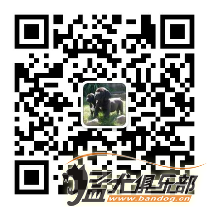 mmqrcode1470720376272.png