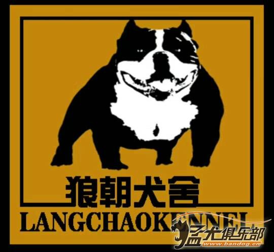 恶霸犬logo的衣服品牌图片